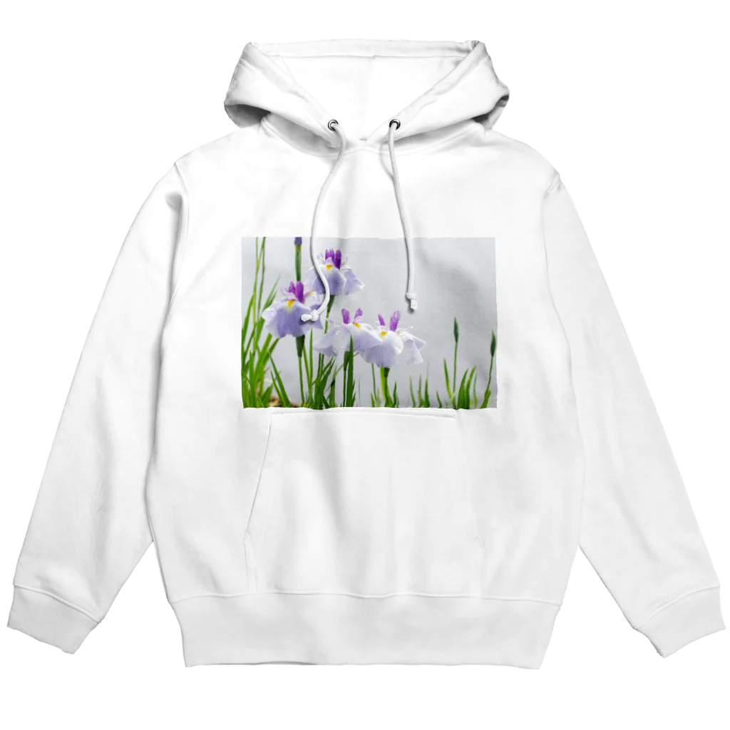 akane_art（茜音工房）の癒しの風景（花菖蒲） Hoodie