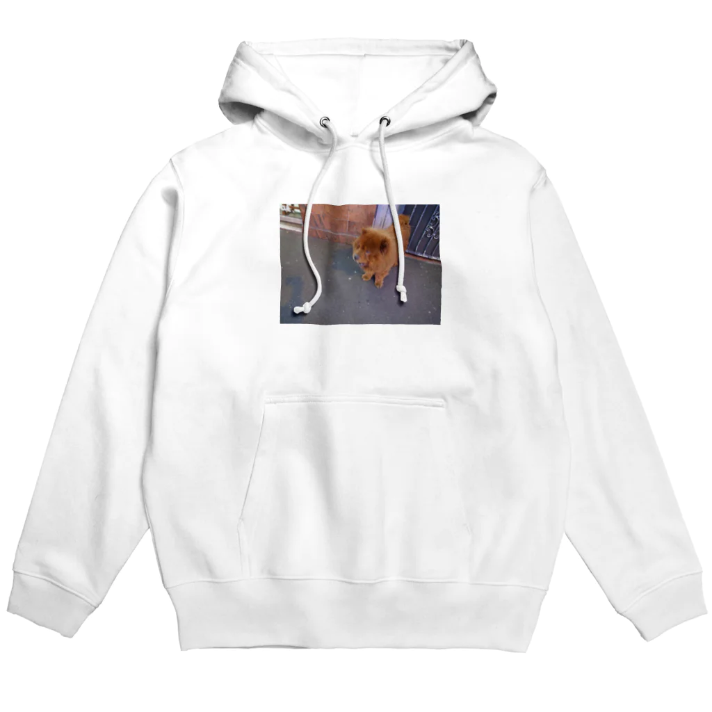 そらまめのシドニーのチャウチャウ Hoodie