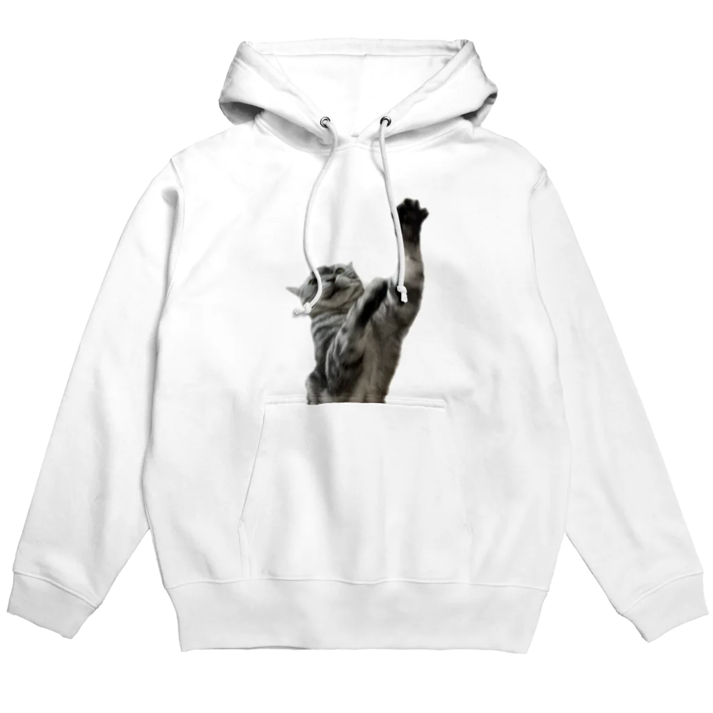 animonimoのひとりあそび Hoodie