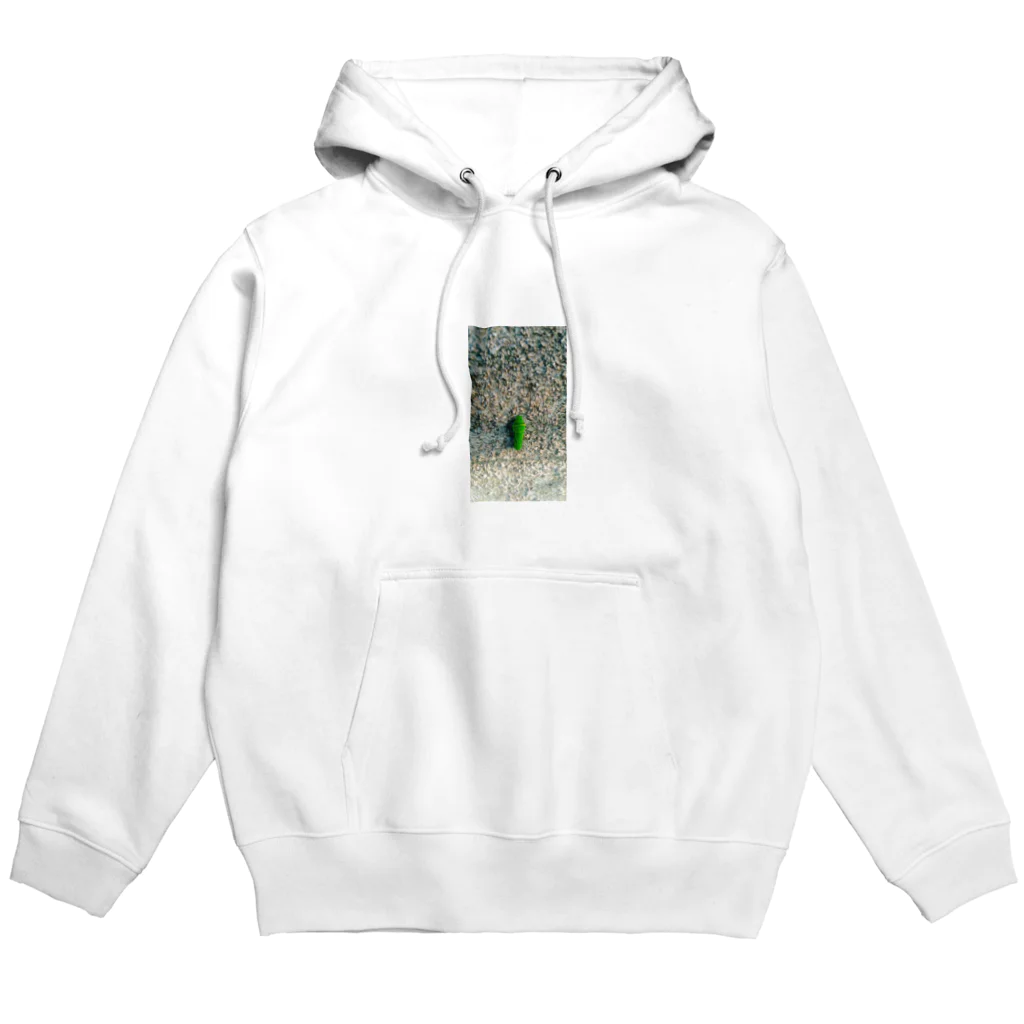 🕷Ame-shop🦇のアゲハチョウの幼虫 Hoodie