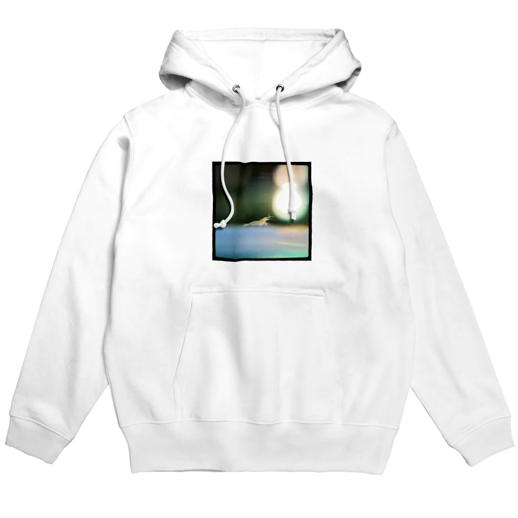 ふたごのおかんのミナミヌマエビ Hoodie