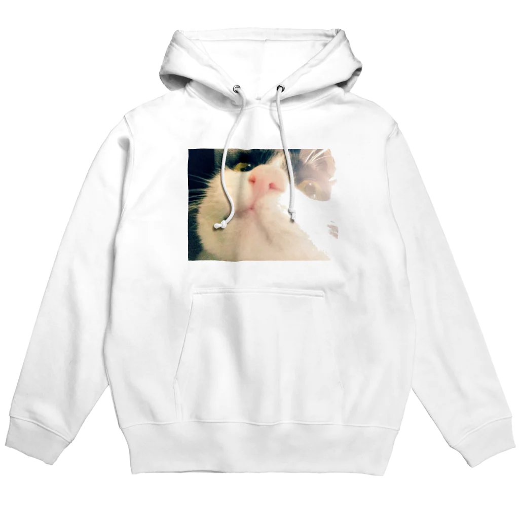 猫三兄弟のねこちゃんパーカー Hoodie