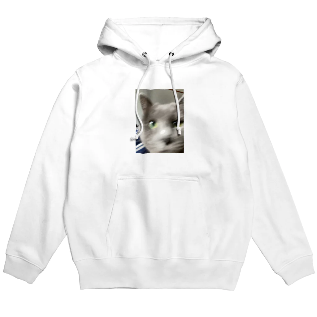 灰猫さん@🦀のシャルトリューねね Hoodie