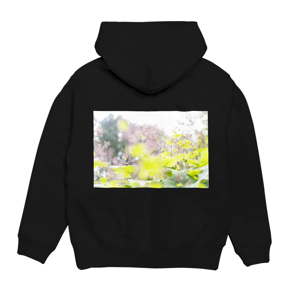 自然光/反射光のmushinoshiten Hoodie:back