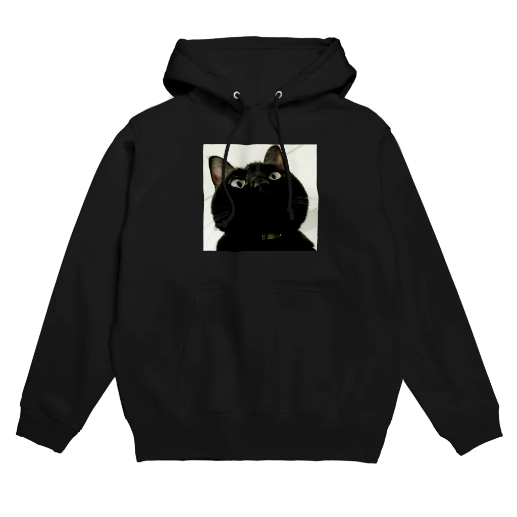 nkmap17の上から舞茸ブラック Hoodie