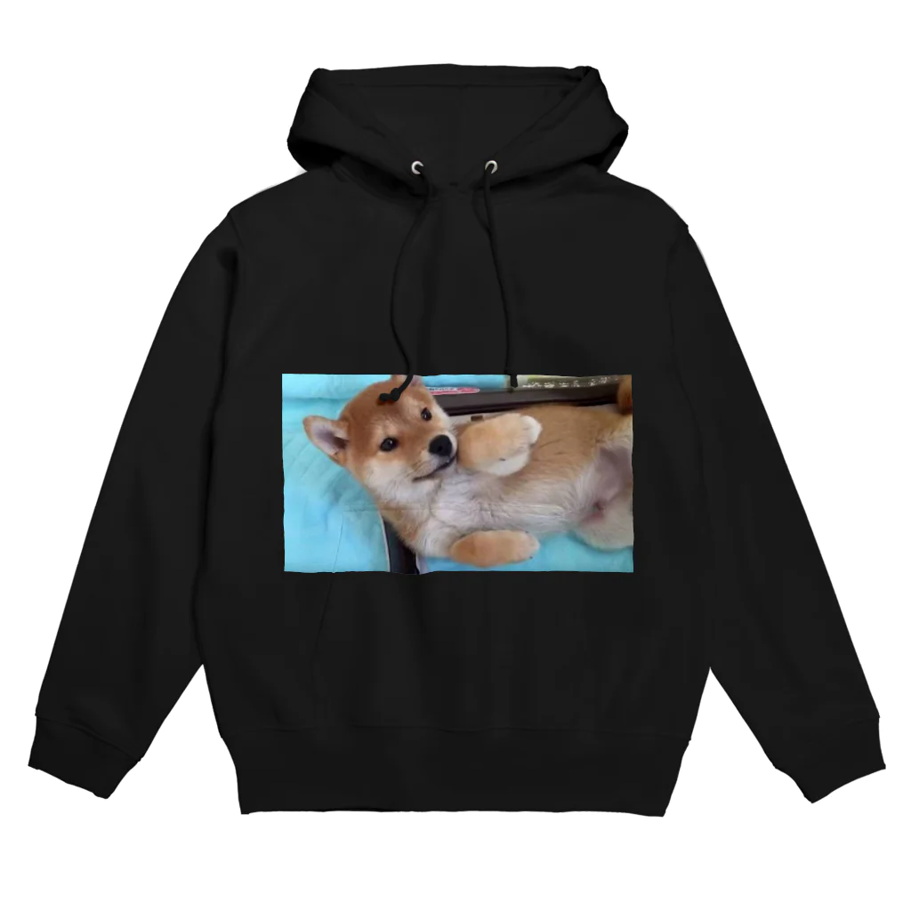 チャットシャルムの犬だよ〜 Hoodie