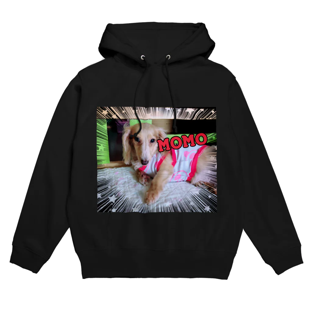 ルネムーン☽°.*の愛犬MOMO Hoodie