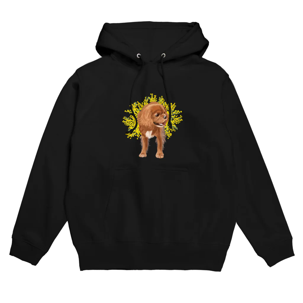 しらたまのキャバリア_ワトル（ミモザ） Hoodie