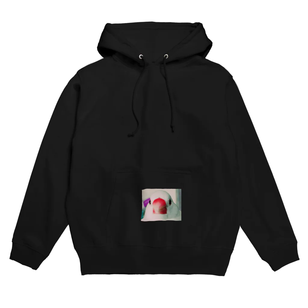 あんこだんご🐦のだんご大明神 Hoodie