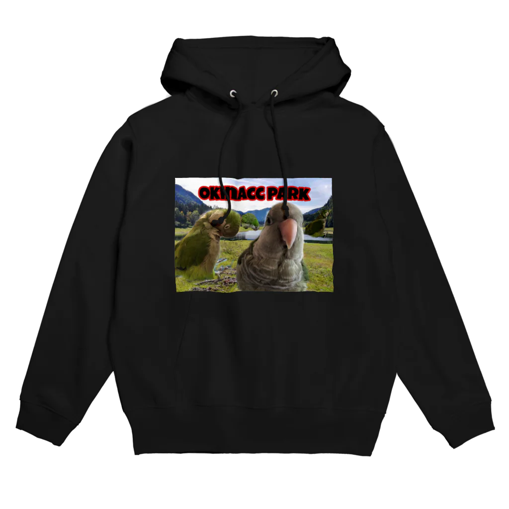 Okinalienのオキナザウルスの公園 Hoodie