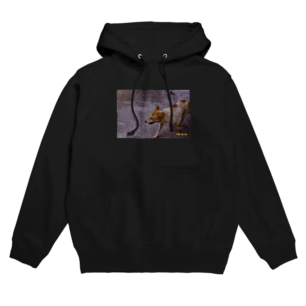 pingpong のベトナムの犬 パーカー Hoodie