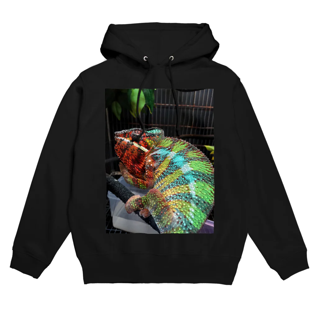 カメレオンのカメレオン Hoodie