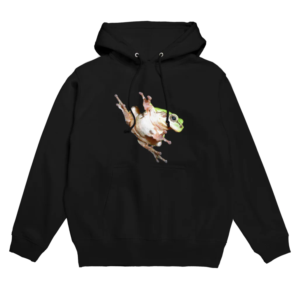 NATURE GOの闇夜のニホンアマガエル Hoodie