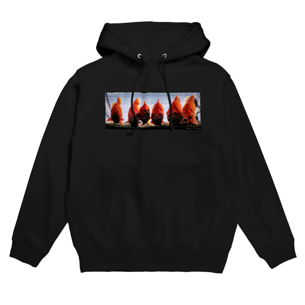 lake_threeのkingyo_no_seiretsu Hoodie