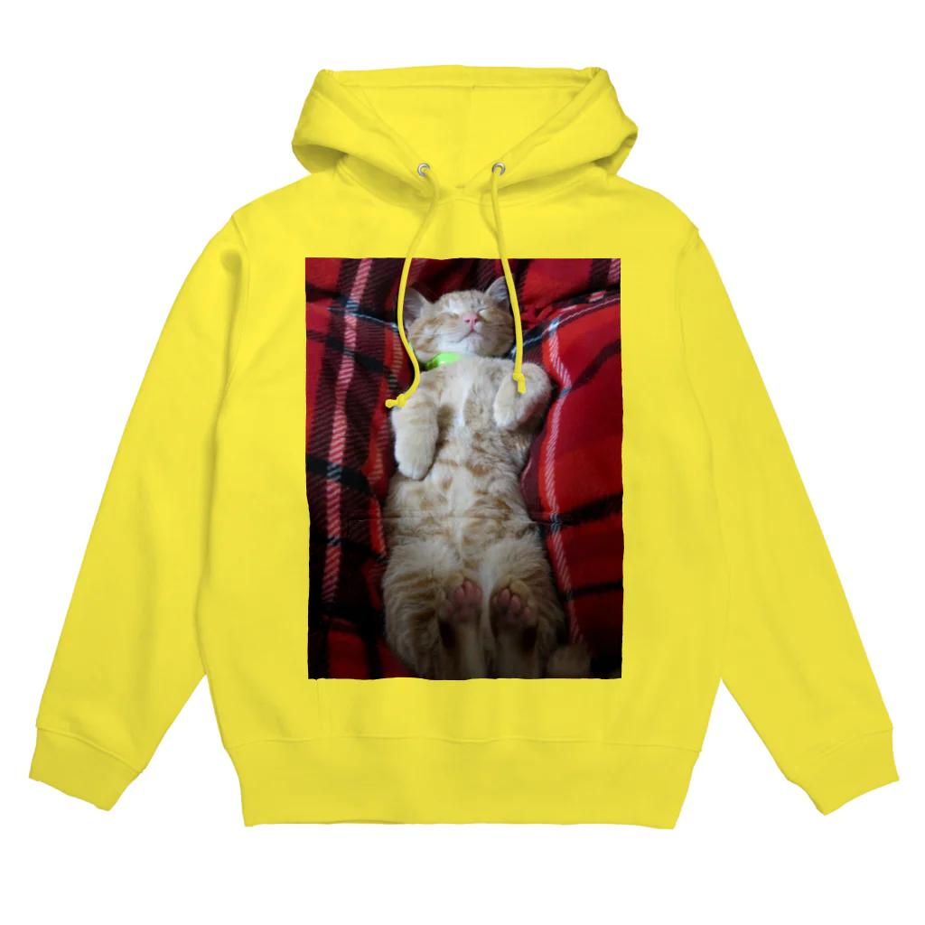 猫充商店の寝たら起きません　はく Hoodie