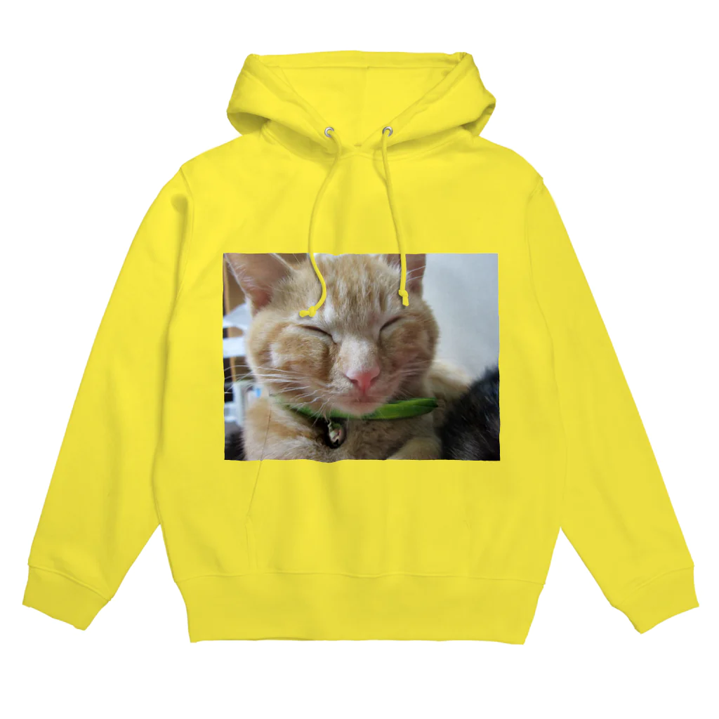 猫充商店のギリ起きてます。はく Hoodie