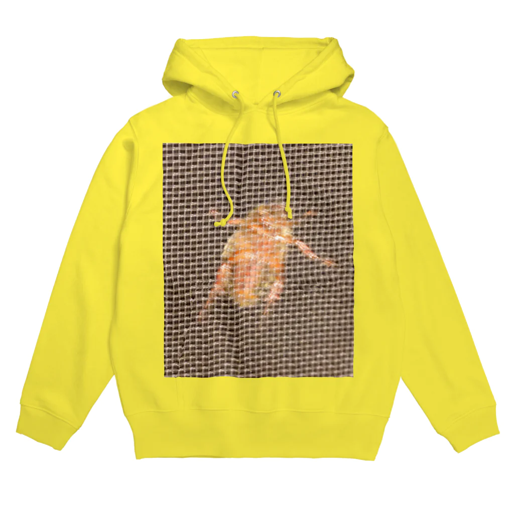 ククラスのあお ぶん Hoodie