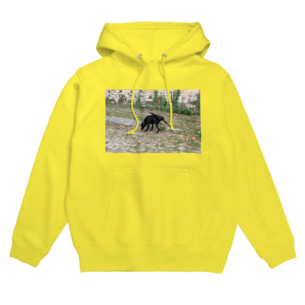 あぁーのおぴっこ Hoodie