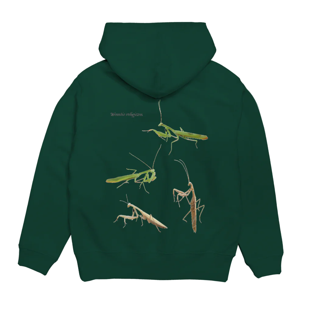 L_arctoaのウスバカマキリ（背景透過ver） Hoodie:back