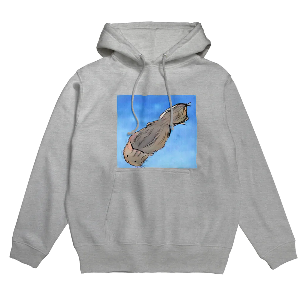 コウのツチネコ Hoodie