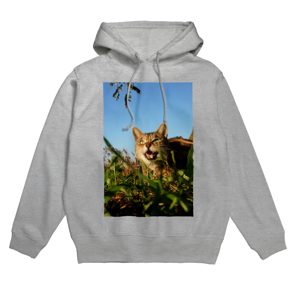 シッポ追いの猫写真店の遊ぼうぜ！ Hoodie