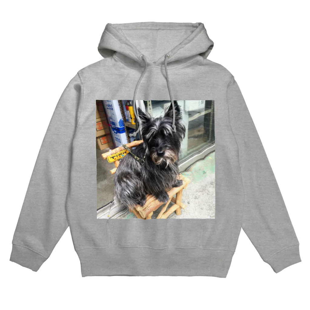 街の遊撃手の犬 Hoodie