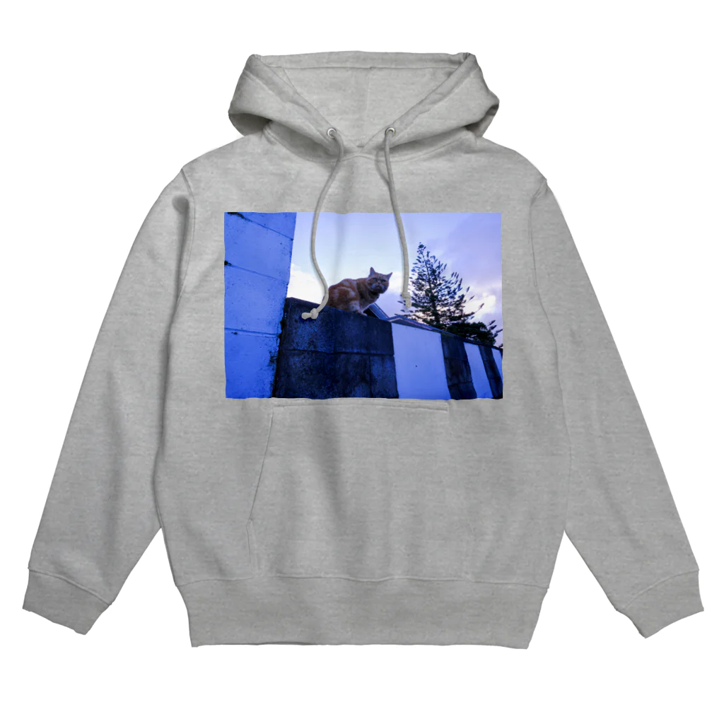 Pleiadesのショップのねこ Hoodie