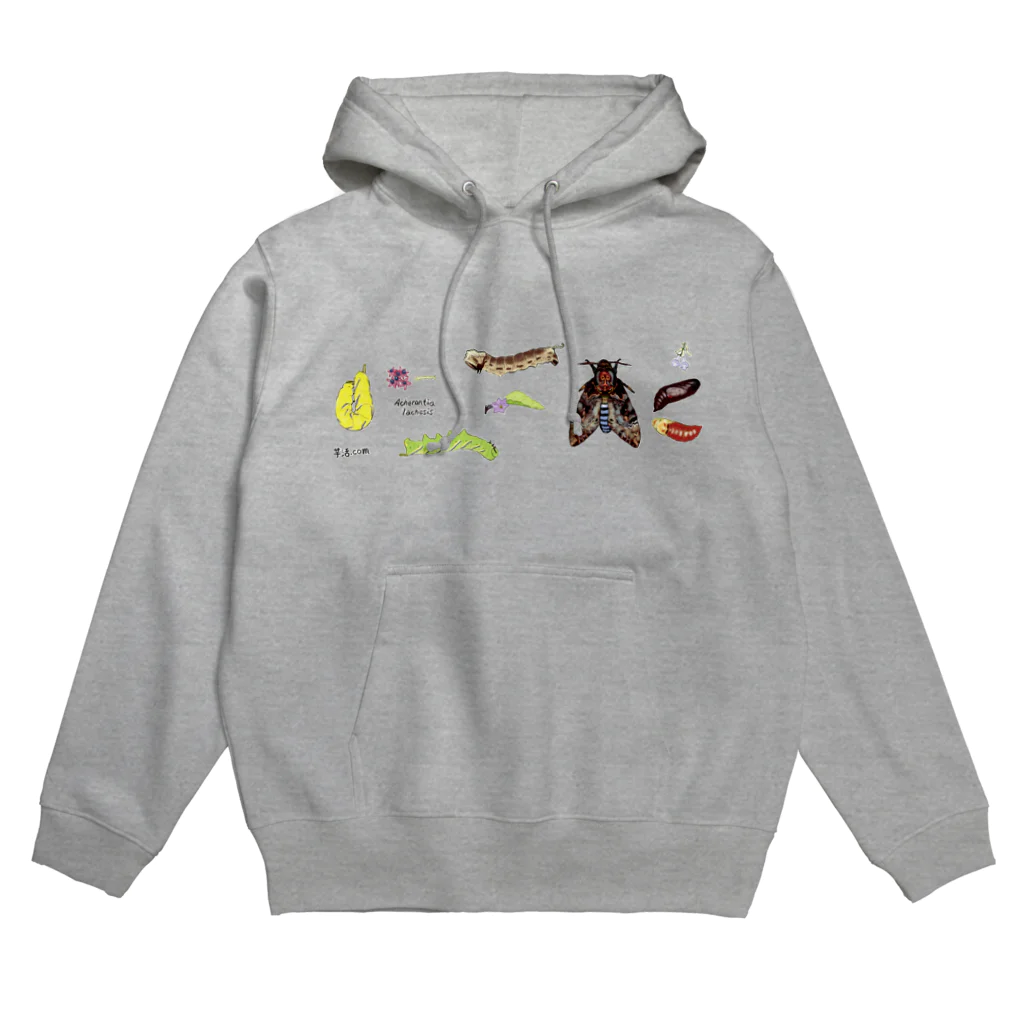 芋活.comのクロメンガタスズメ Hoodie