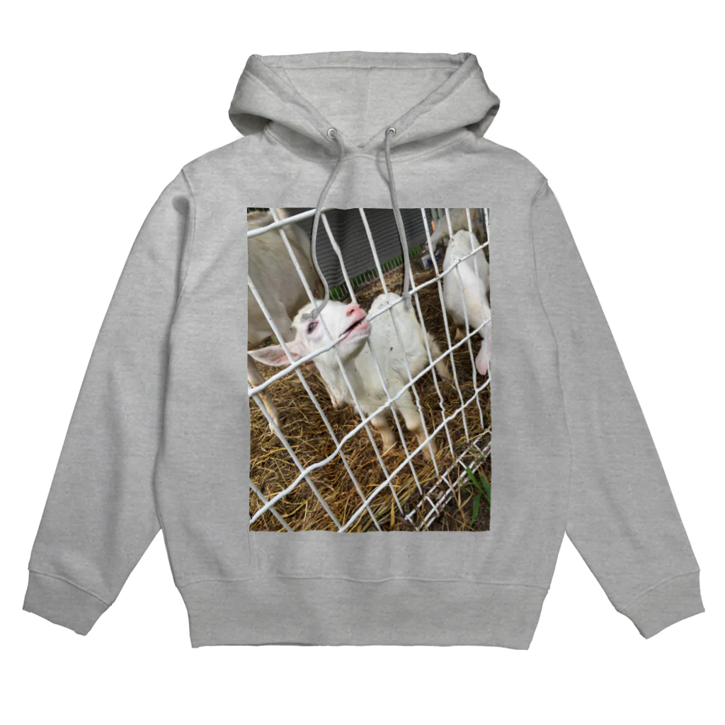 るんのヤギしゃん。 Hoodie