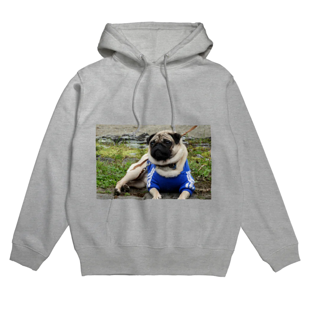 へいゆーちゃんの愛犬 Hoodie