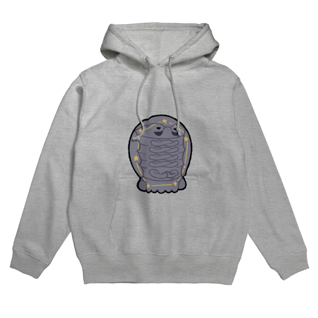 PicoBrush_nakadeのsinkai_seiza_2 Hoodie