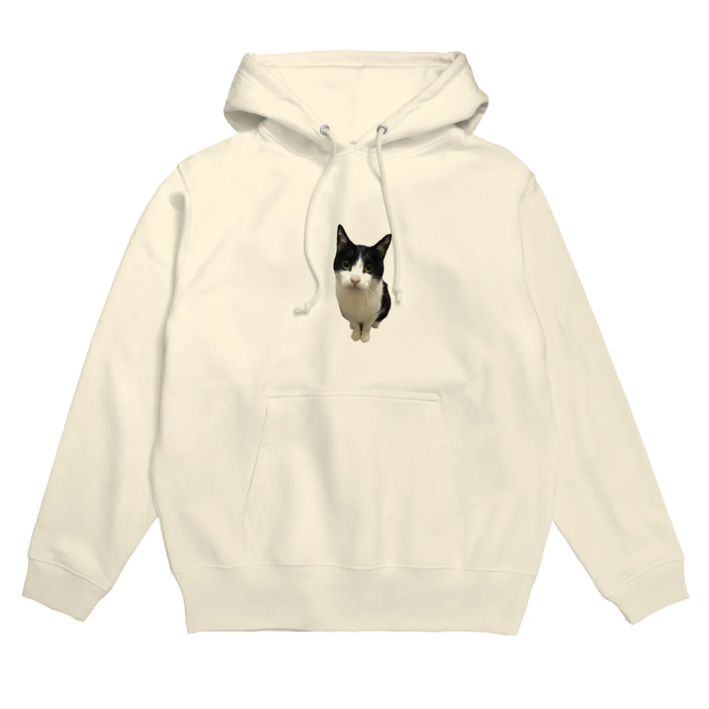 ポケにゃんショップのスタンダードポケにゃん Hoodie