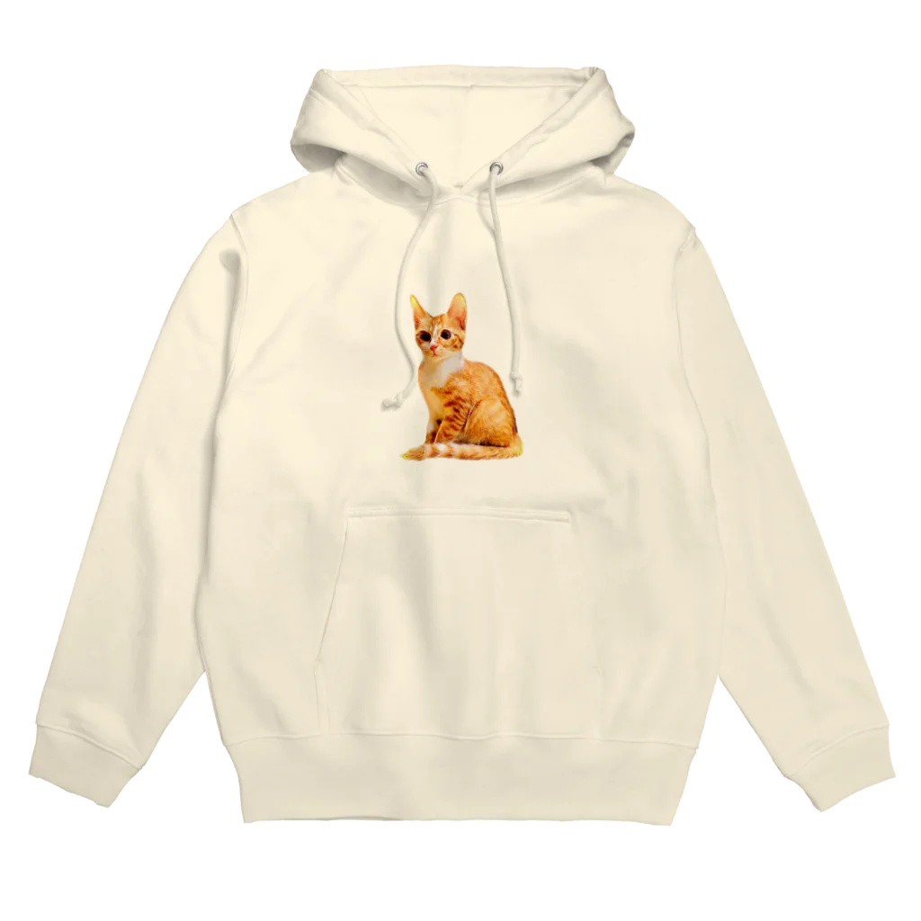 ねこだいすきばばあのKAWAII CHATORA NEKO Hoodie