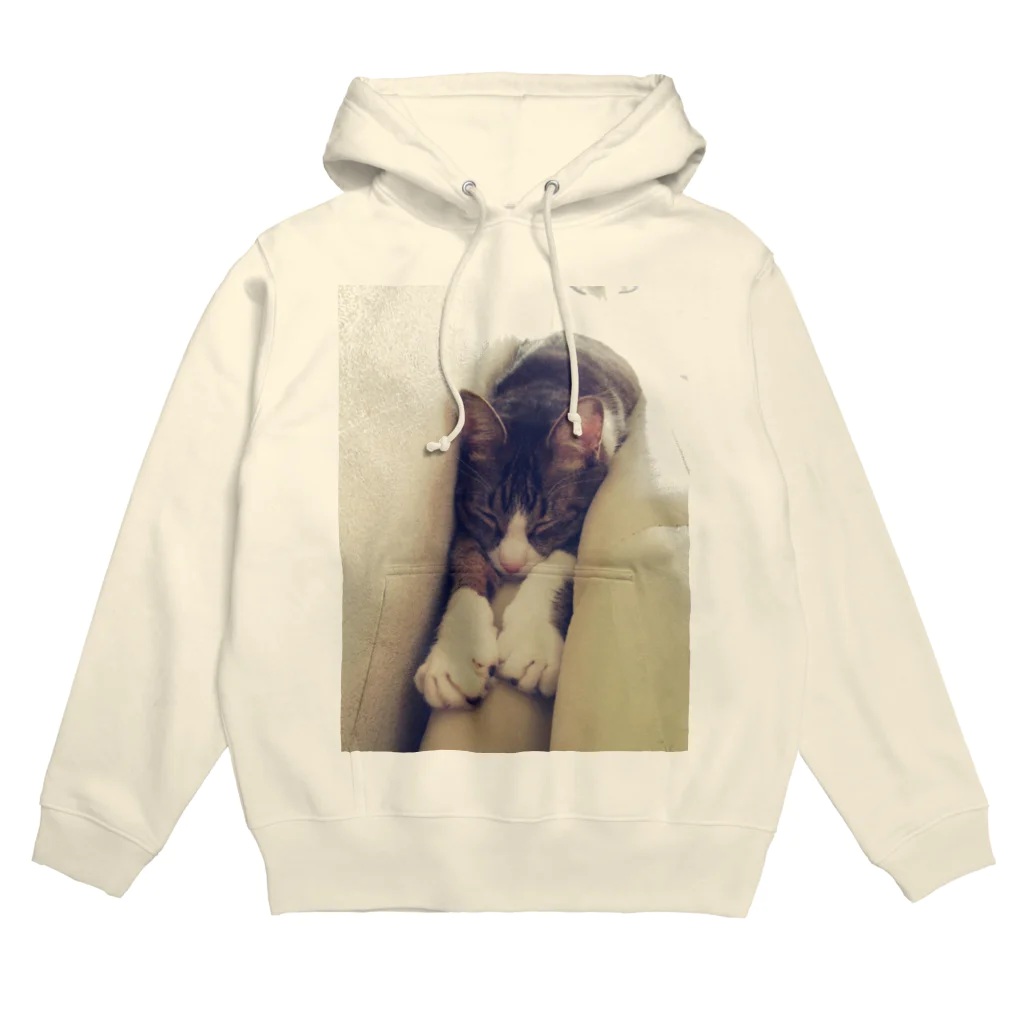 猫充商店のソファのめっちゃ狭いとこにデブが入ってる　きなこ Hoodie