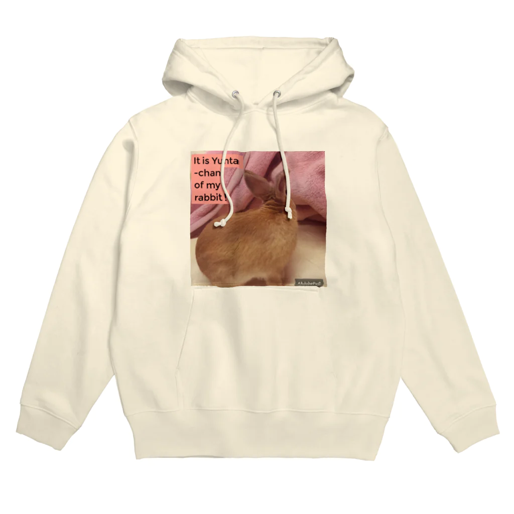 usagiの愛兎ゆんたちゃん０歳です。 Hoodie