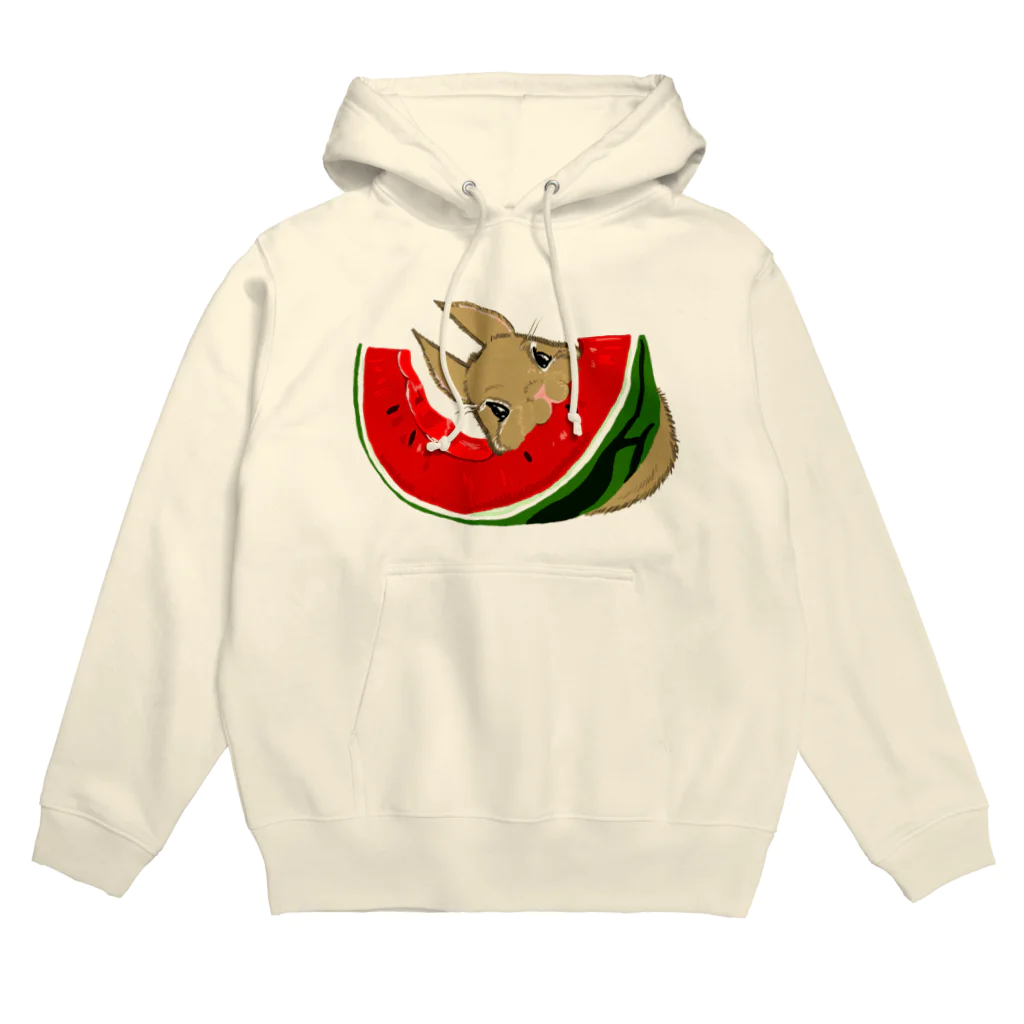 レコードの巣の茶色うさぎとスイカ Hoodie