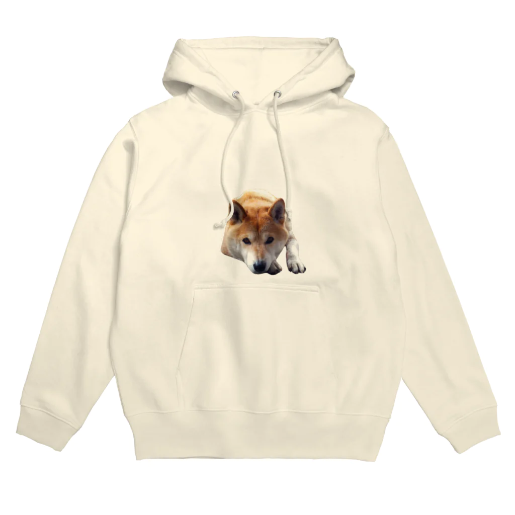 愛犬太郎のグッズの上目遣い太郎【柴犬】 Hoodie