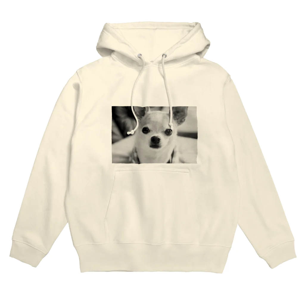 akane_art（茜音工房）のモノクロチワワ（おすまし） Hoodie