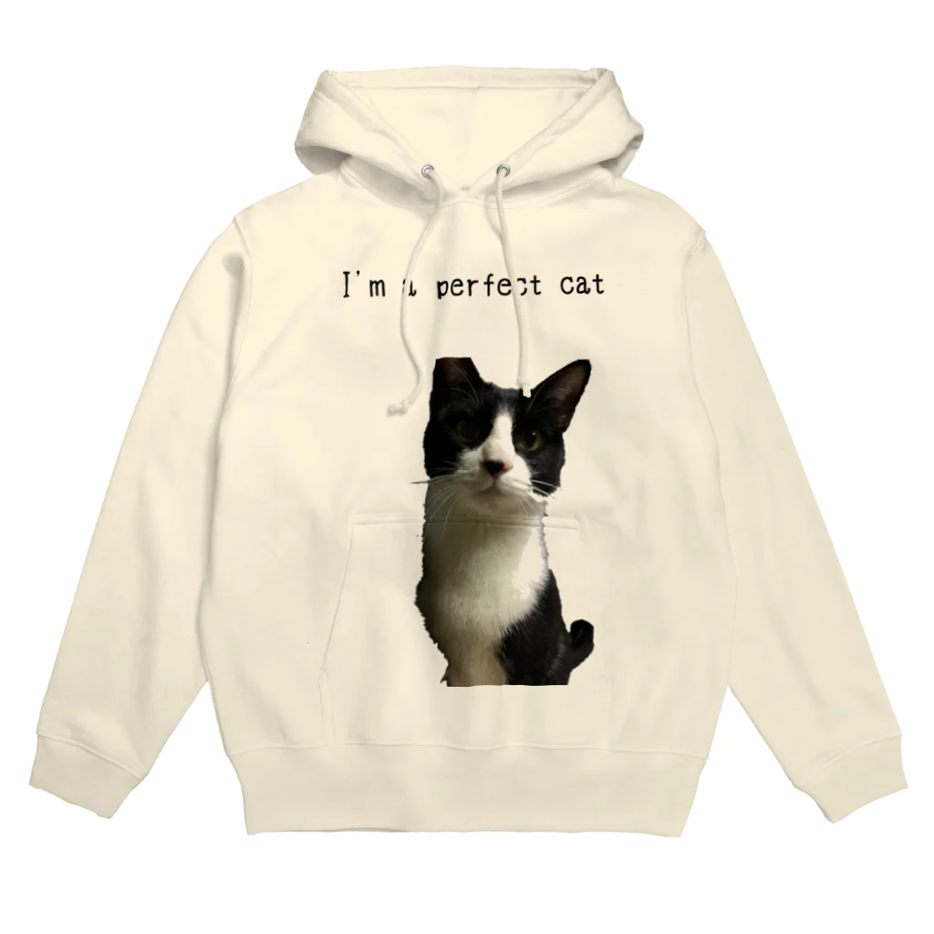 ねこといろいろのあいむ あ ぱーふぇくと にゃんこ Hoodie