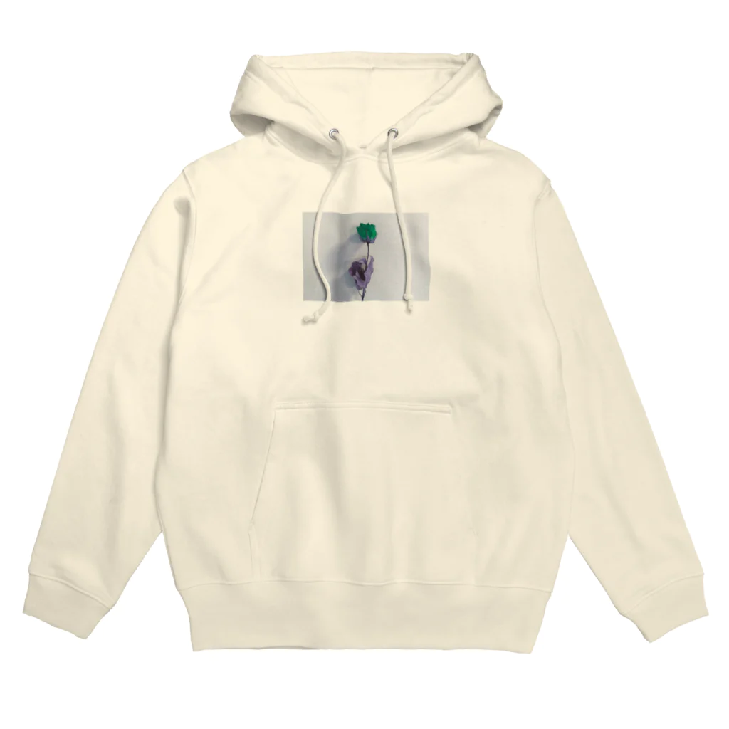 hi__1103のdried flower  green Hoodie