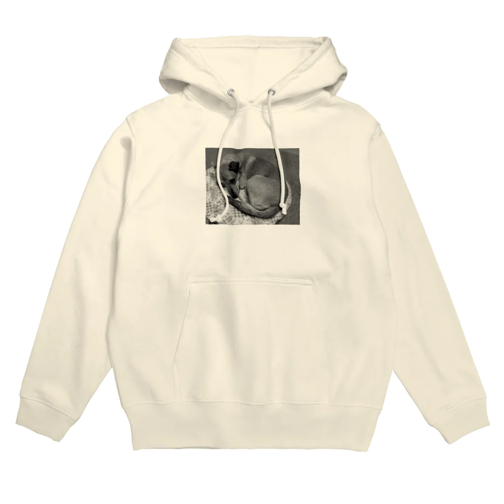 なまけものの丸くなるりくちゃん Hoodie