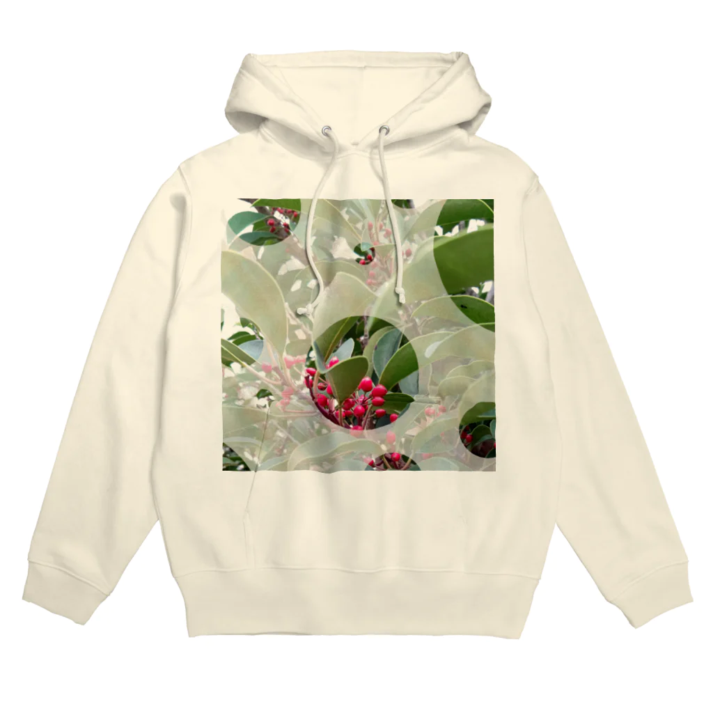 Lily bird（リリーバード）のピラカンサス（？）photo 正方形 Hoodie