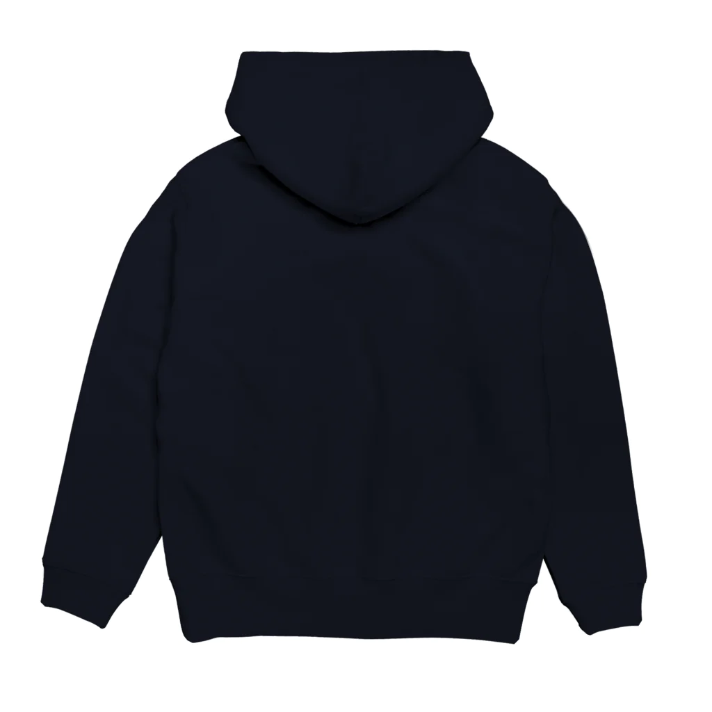 alterOvOの架空ロゴ Hoodie:back