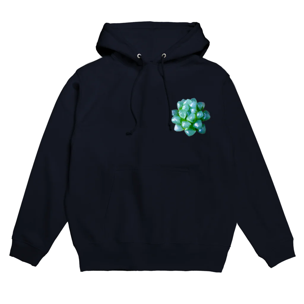 ๑ tomo jooooonai ๑のただのオブツーサ Hoodie