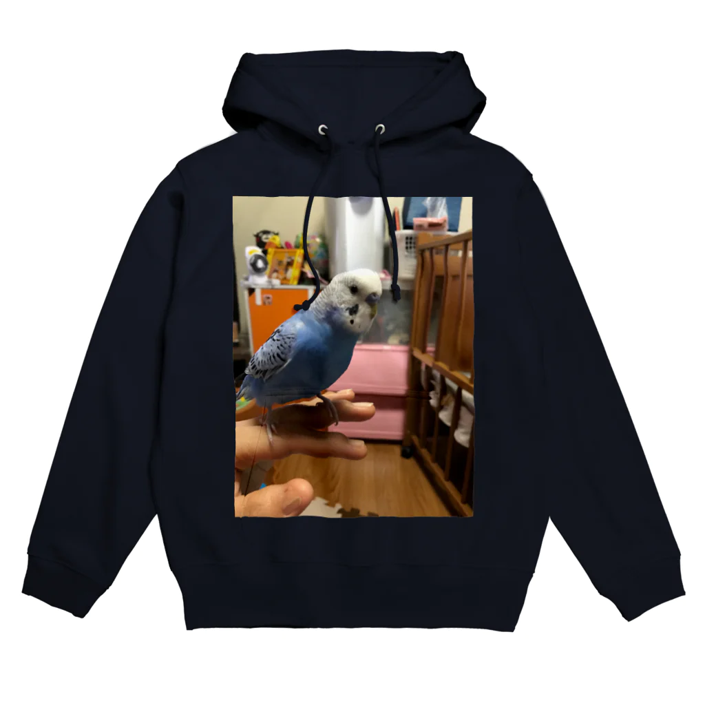 あゆみのインコのトラ Hoodie