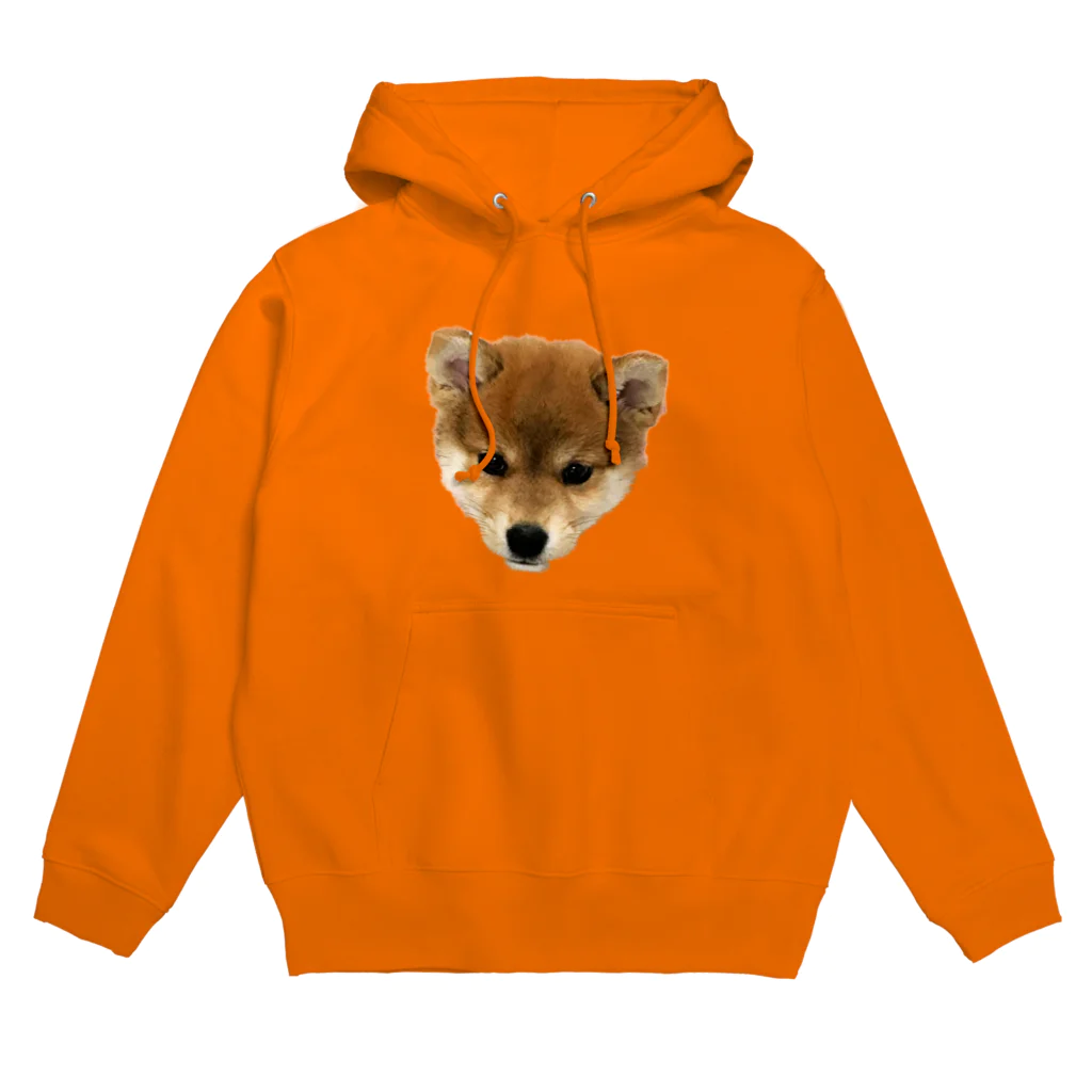 笛ガムの子犬よ… Hoodie