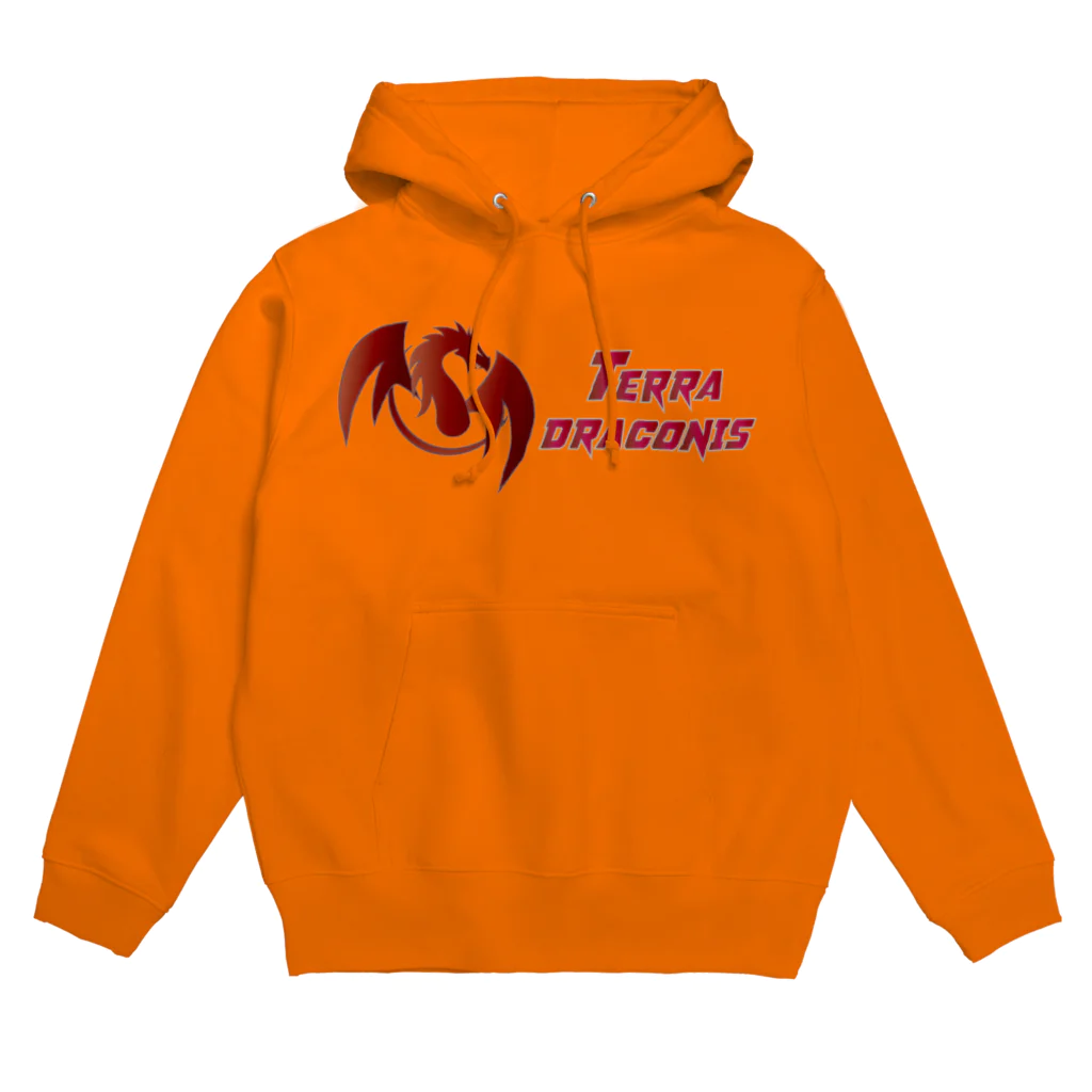 異世界ファンタジー シェアワールド『テラドラコニス』 OnlineShopのテラドラコニス ロゴ アイテム Hoodie