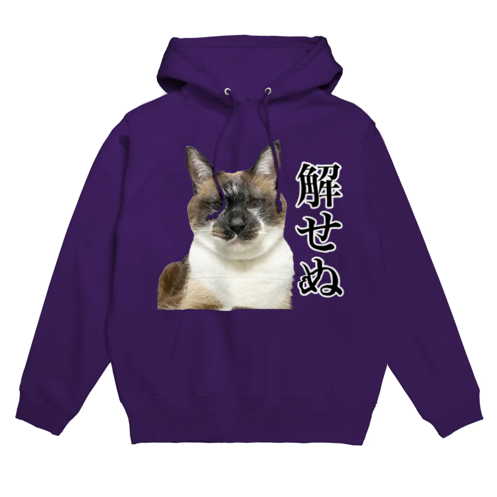 ねこまみれの解せぬ Hoodie