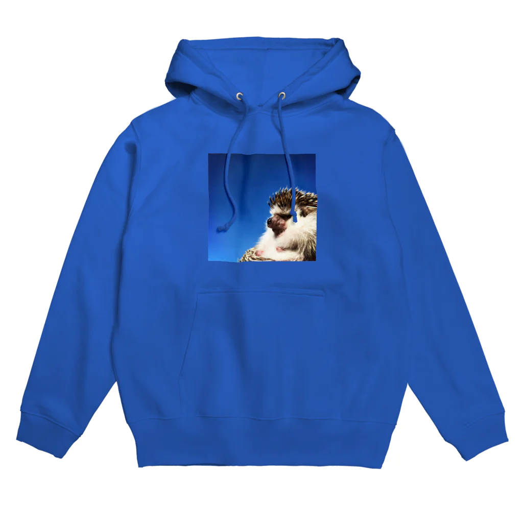 ハリネズミつんさんのグッズのハリネズミ平井つんさん Hoodie