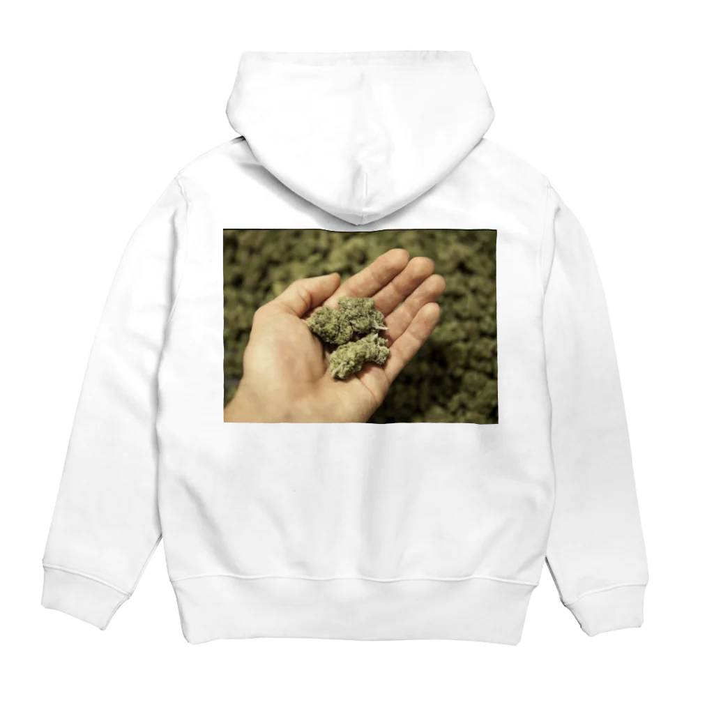 CRAZYSALTの合法大麻 Hoodie:back